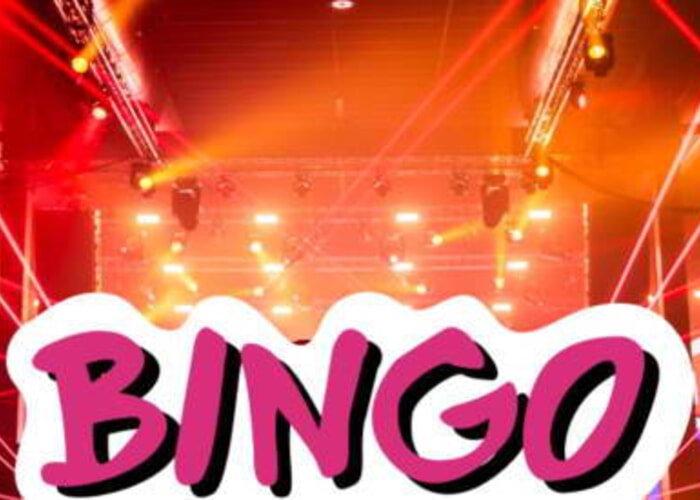 Bingo Loco: The Ultimate Bingo Party