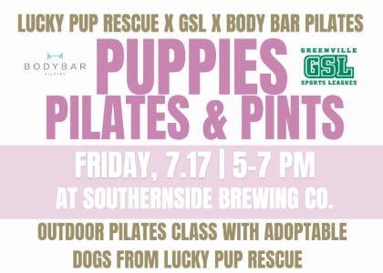 Puppies, Pilates & Pints