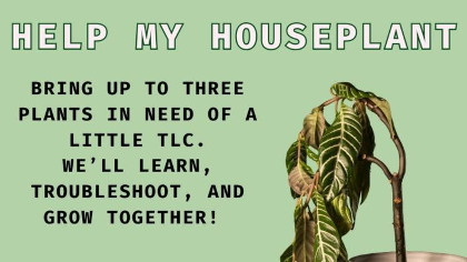 Help My House Plant at Green Space
