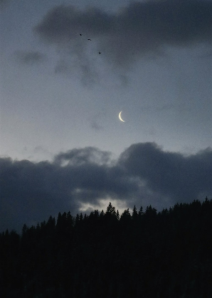 Painting From A Photo: Watercolors for Beginners