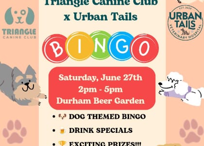 Dog Bingo *For Charity* at Durham Beer Garden