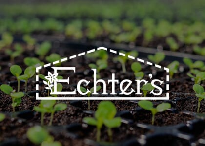 Starting Plants from Seed