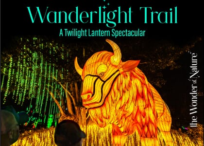 Wanderlight Trail