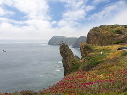 Anacapa Island Day Tour