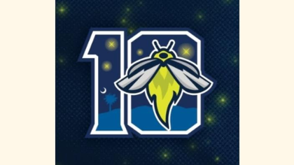Fireflies Fireworks