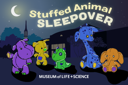 Stuffed Animal Sleepover