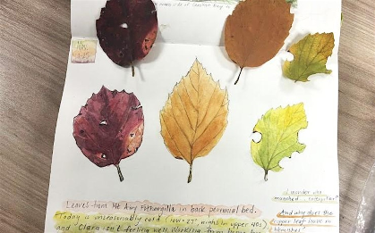 Introduction to Nature Journaling