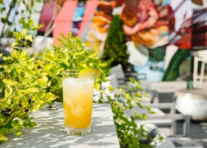 Cinco de Mayo on the Rooftop