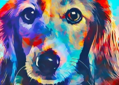 Paw-traits & Paintbrushes: Pet Portrait Paintings