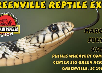 Greenville Reptile Expo