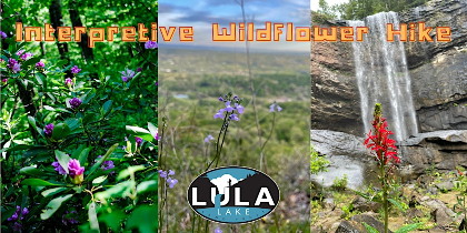 Interpretive Wildflower Hike