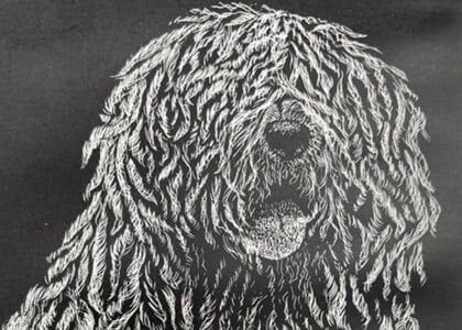 Drawing with Donna: 4 Thursdays, June 18 - July 23