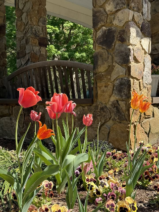 Guided Forest Therapy Walk in Flagler Perennial Garden
