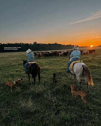 Ranch Ready: Emergency Skills for When Minutes Matter