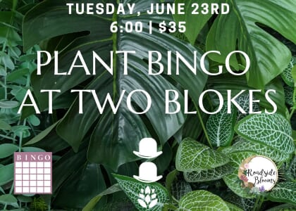 Plant Bingo @ Two Blokes with Roadside Blooms