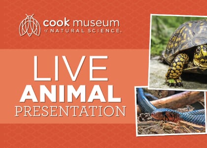 Live Animal Presentation