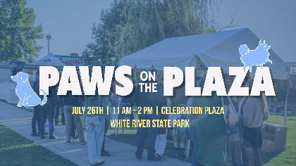 Paws on the Plaza