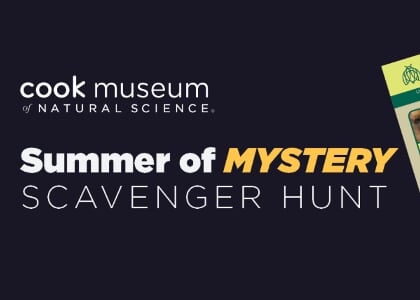 Summer of Mystery Scavenger Hunts