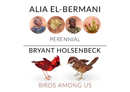 Alia El-Bermani "Perennial" and Bryant Holsenbeck "Birds Among Us"