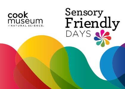 Sensory Friendly Days