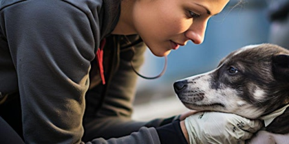 Fast and Furriest 5K Walk/Run Benefiting the Humane Society of Washington C
