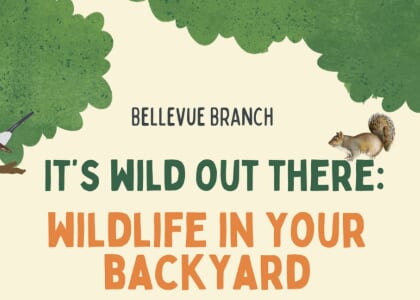 Wildlife in your Backyard with Harmony Wildlife