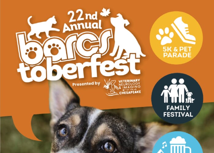 22nd Annual BARCStoberfest
