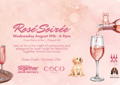 Rosé Soirée 2026