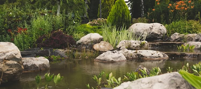 Flyer or photo for Fall Pond Care Class