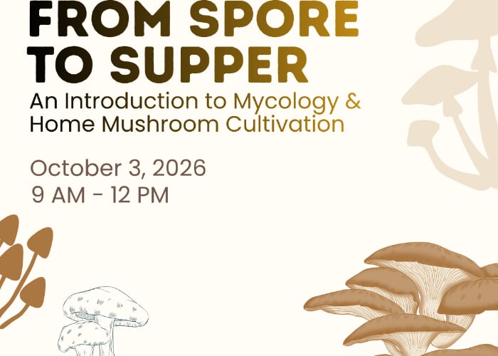 From Spore to Supper