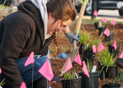 City of Greenville Parks and Recreation park cleanup days