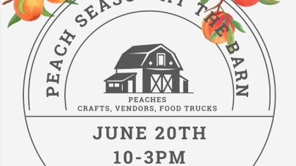 Peach Season At The Barn