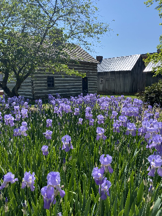 May Day in the Historic Park