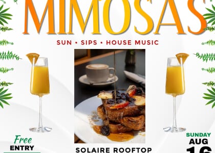 Sounds Like Mimosas : Electric Nights Edition