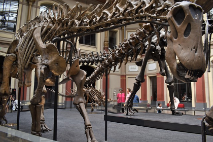 Famous Fossils Adult Scavenger Hunt
