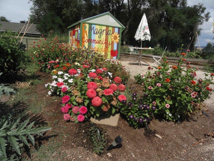 Wasatch Community Gardens Wednesday Walk-Through at Magna Community Garden - FREE!
