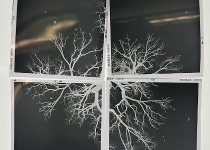 Darkroom techniques: burning, dodging, + split toning