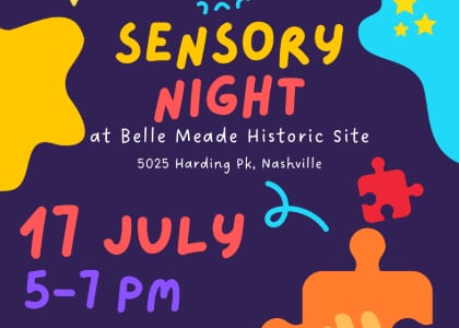 Sensory Night