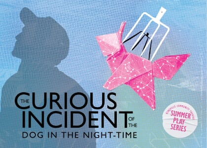 The Curious Incident of the Dog in the Night-Time