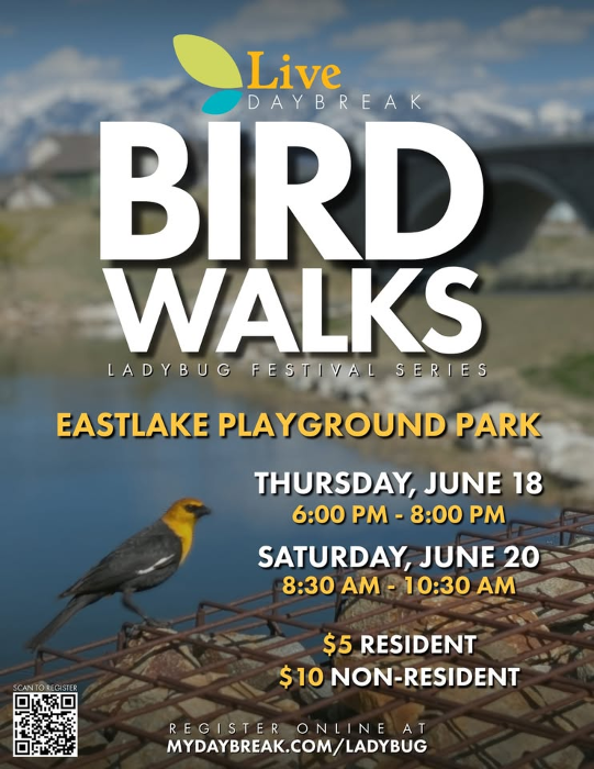 Bird Walk with Earthwings