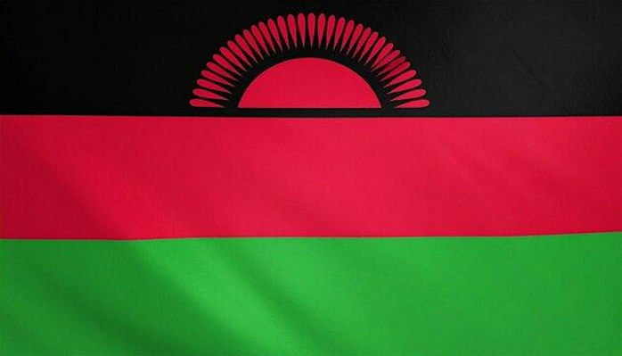 Embassy of Malawi Reception - Safari and Rare Earth Minerals