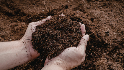 Building Living Soil