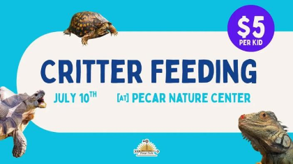 Critter Feeding