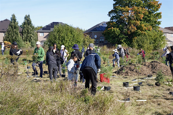 Community Tree Planting