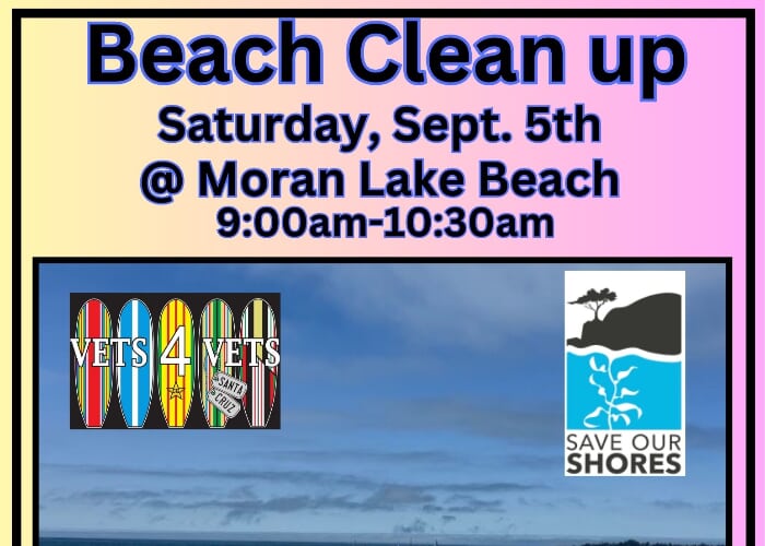 Beach Clean up