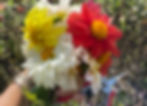 You-Pick Flowers (1)
