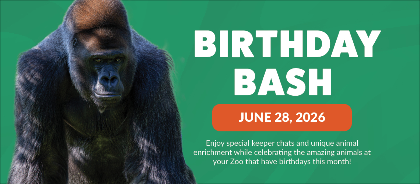 June Birthday Bash