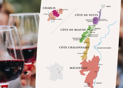 Winemaker Masterclass: Burgundy featuring Numa Cornut