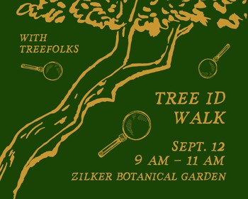 Tree ID Walk with TreeFolks