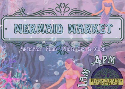 The Mermaid Market